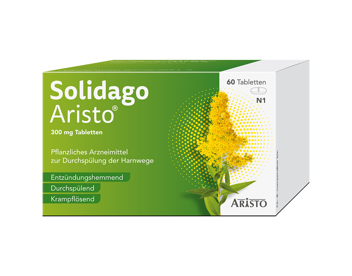 Solidago Steiner® Tabletten Packshot 60er 