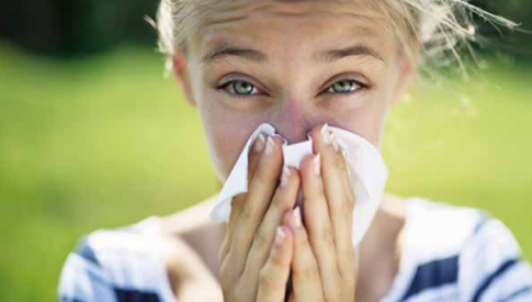 Allergische Rhinitis Fortbildung